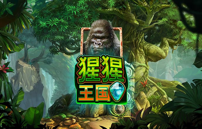 天下彩944cc